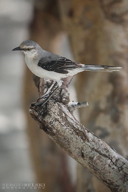 mexico family vacation travel photographer sergei belski photo