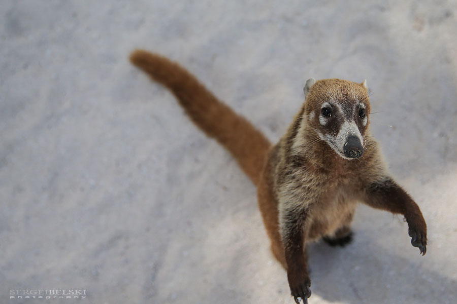 mexico family vacation travel photographer sergei belski photo