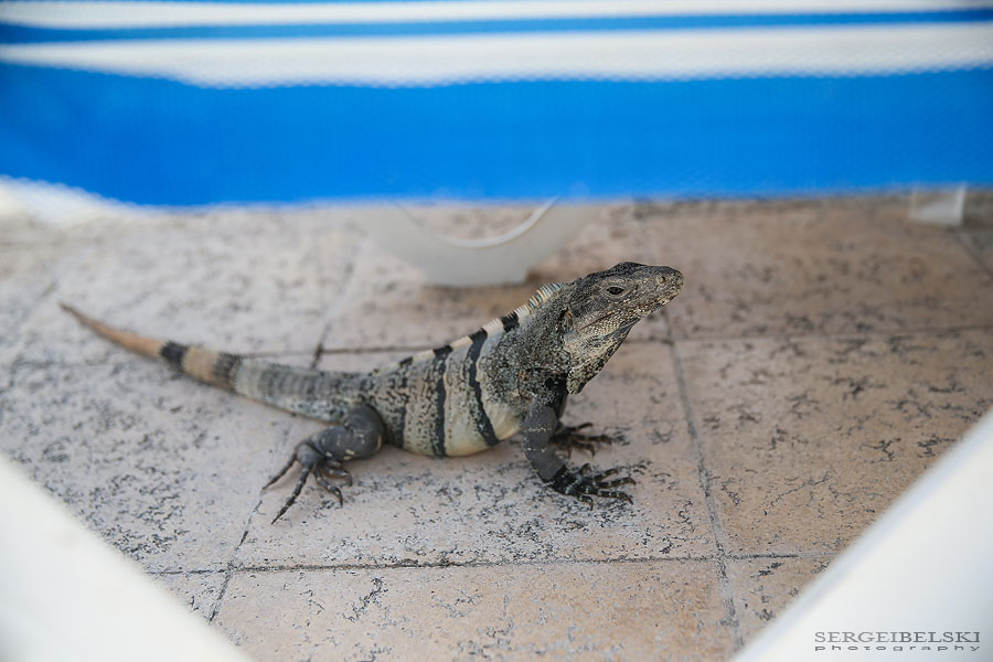 mexico family vacation travel photographer sergei belski photo