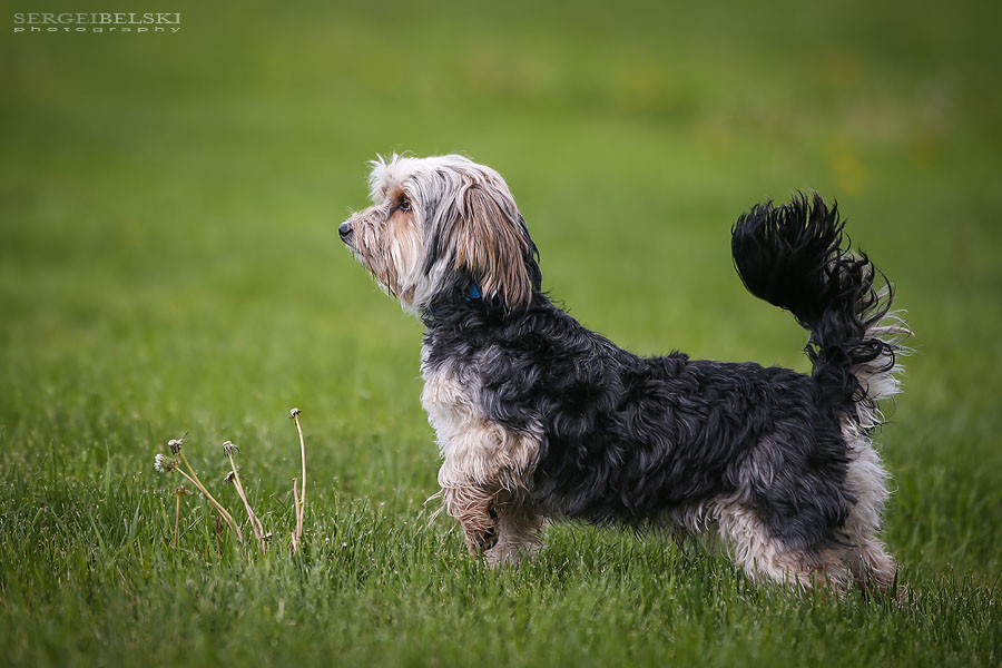 city of airdrie commercial photographer sergei belski photo
