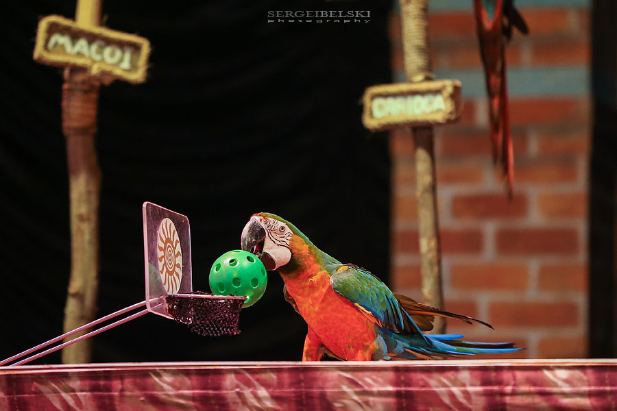 mexico family vacation travel photographer sergei belski photo