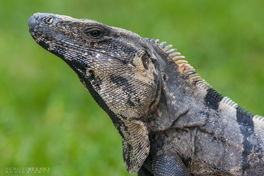 mexico family vacation travel photographer sergei belski photo