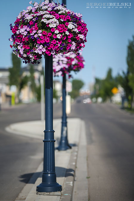 airdrie life magazine editorial photographer sergei belski photo