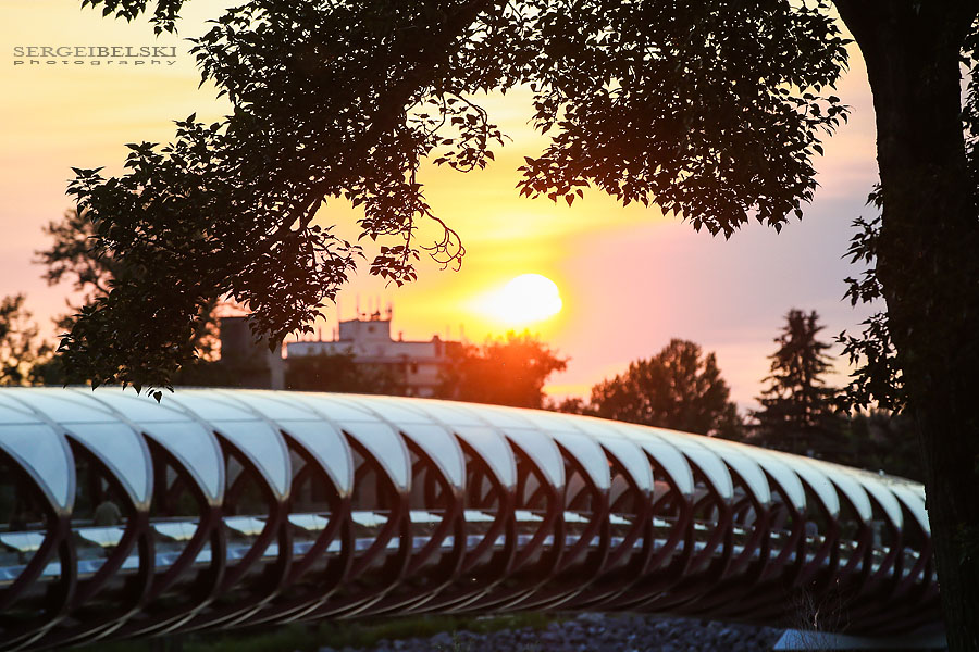 calgary portrait photographer sergei belski photo