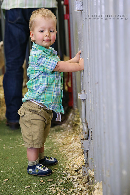 stampede calgary sergei belski photo