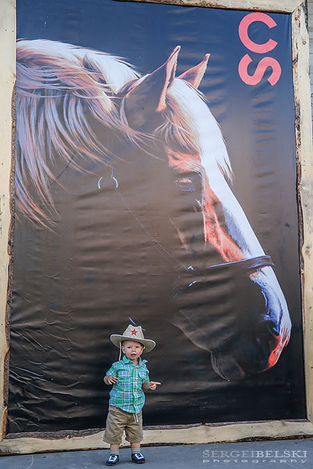 stampede calgary sergei belski photo