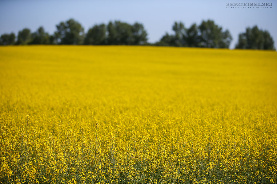 my vespa adventures travel photographer sergei belski photo