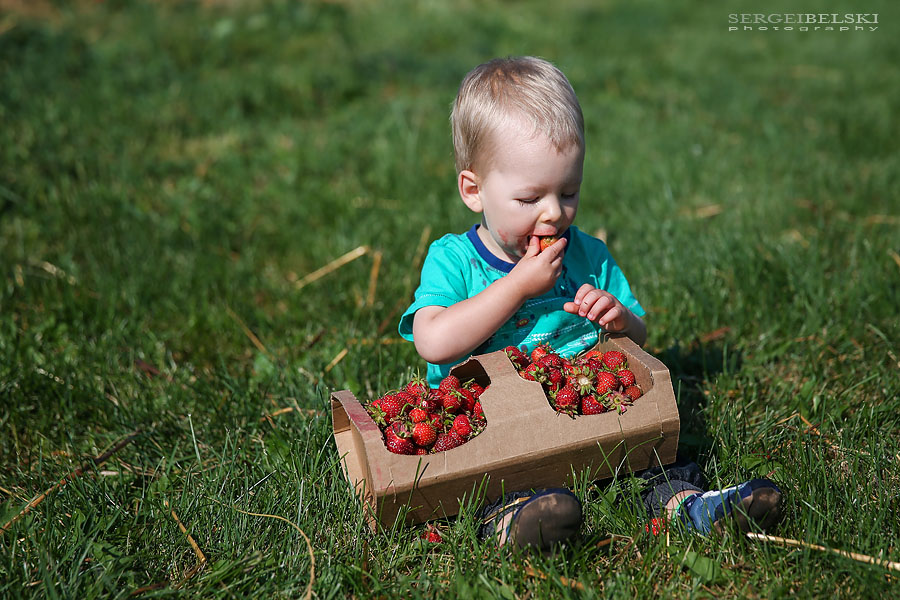 strawberries with oliver sergei belski photo