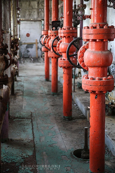 my vespa adventures photo