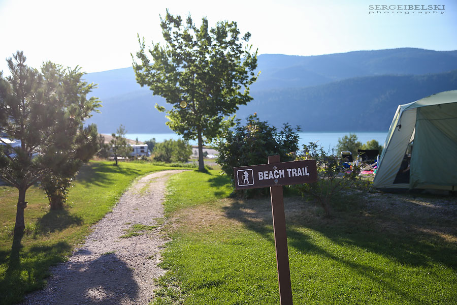 my vespa adventures photo