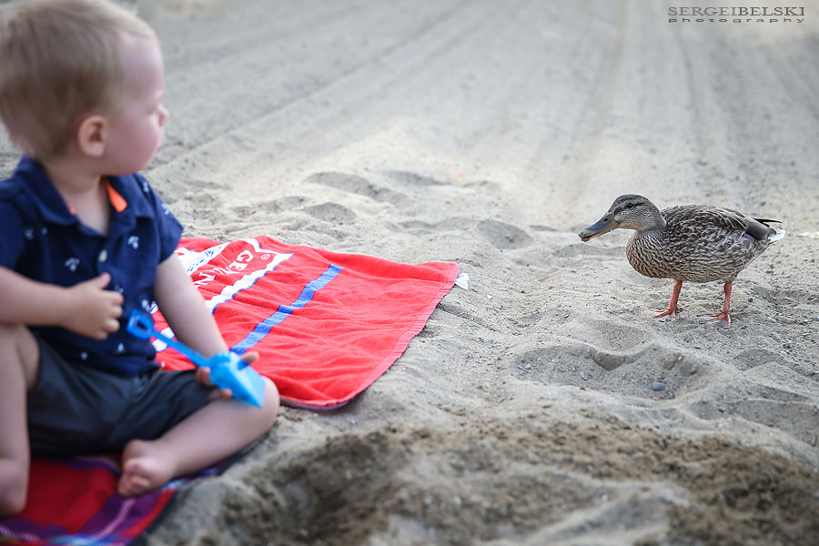 my vespa adventures photo