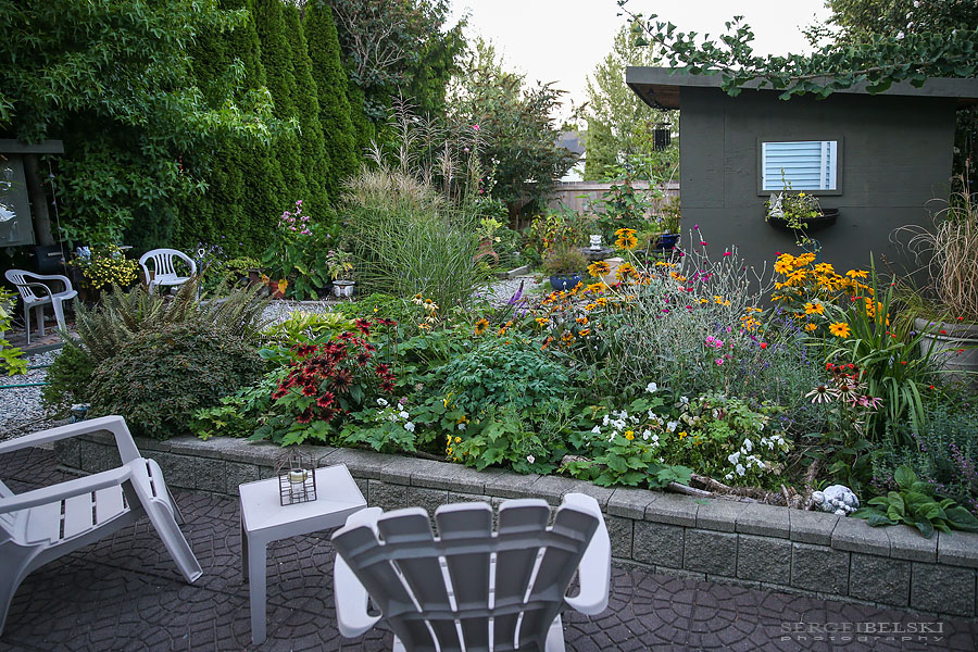 my vespa adventures photo