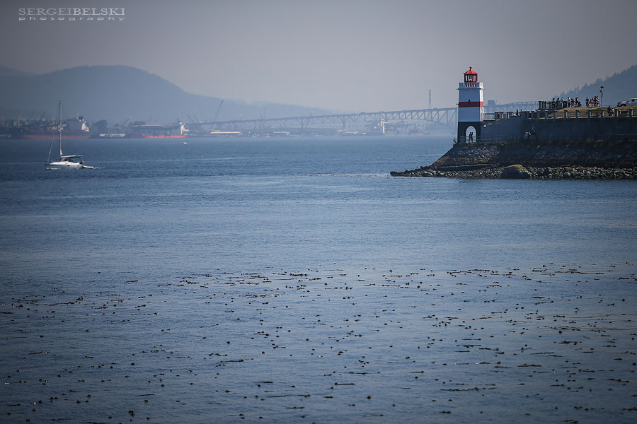 my vespa adventures photo