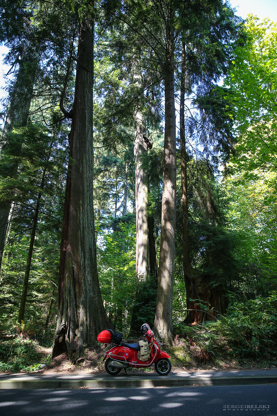 my vespa adventures photo