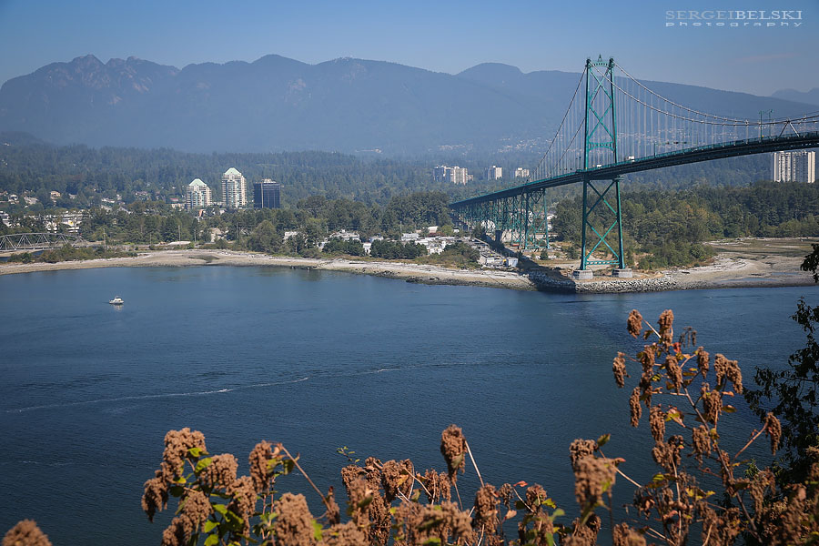 my vespa adventures photo