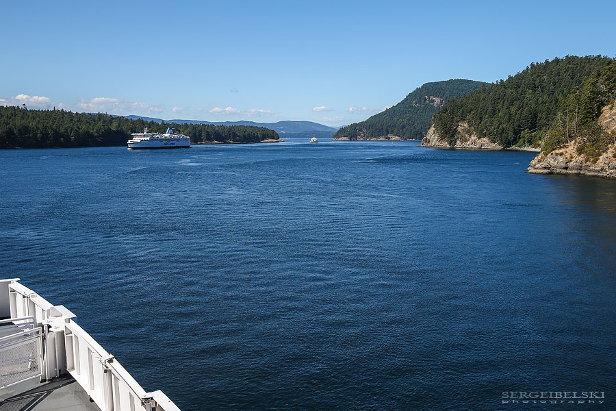 my vespa adventures photo