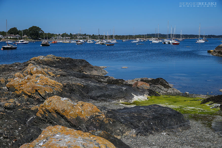 my vespa adventures photo