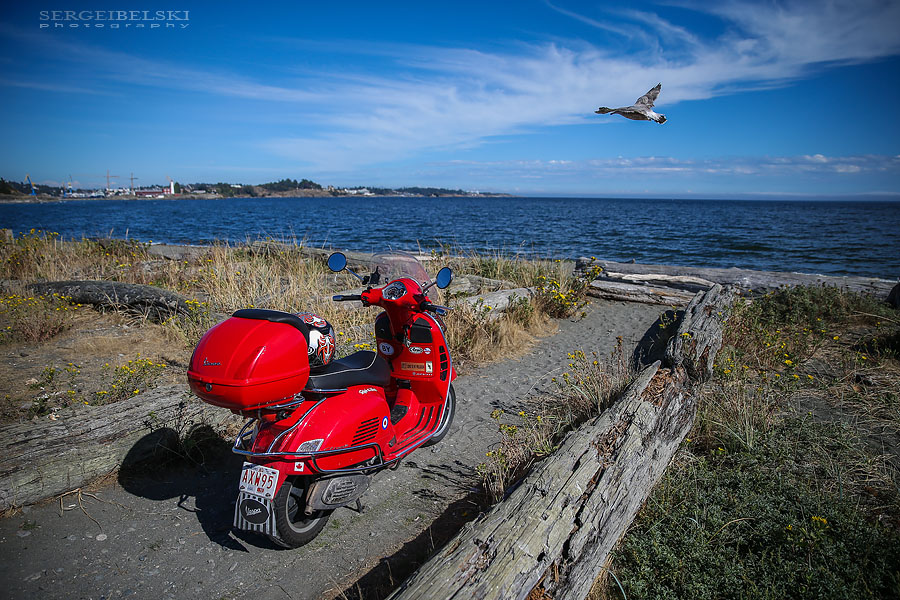 my vespa adventures photo