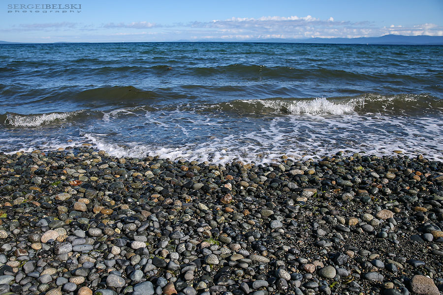 my vespa adventures photo
