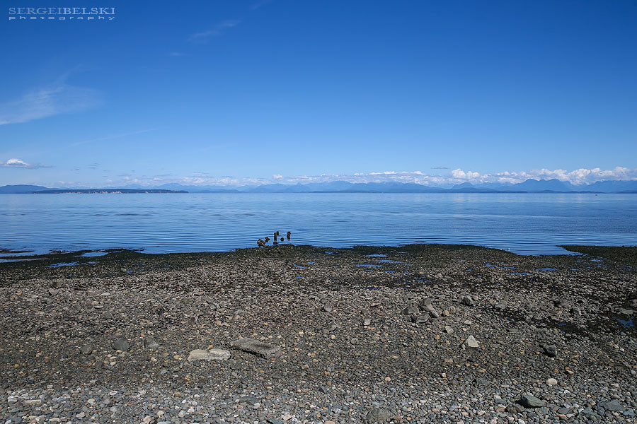 my vespa adventures photo