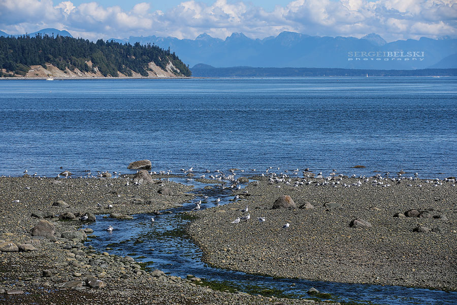 my vespa adventures photo