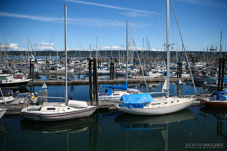 my vespa adventures photo