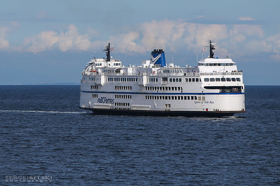 my vespa adventures photo