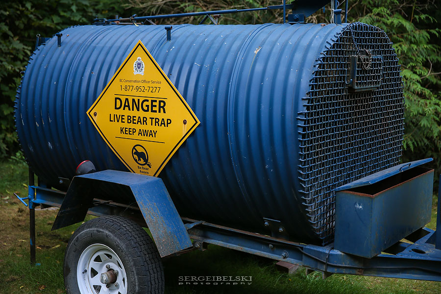 my vespa adventures photo