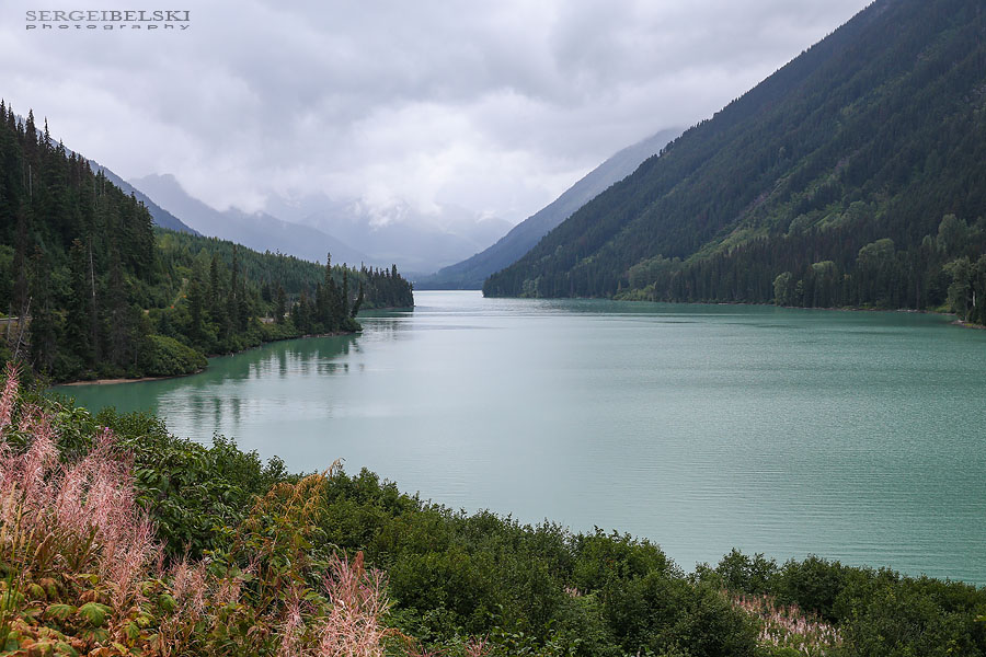 my vespa adventures photo