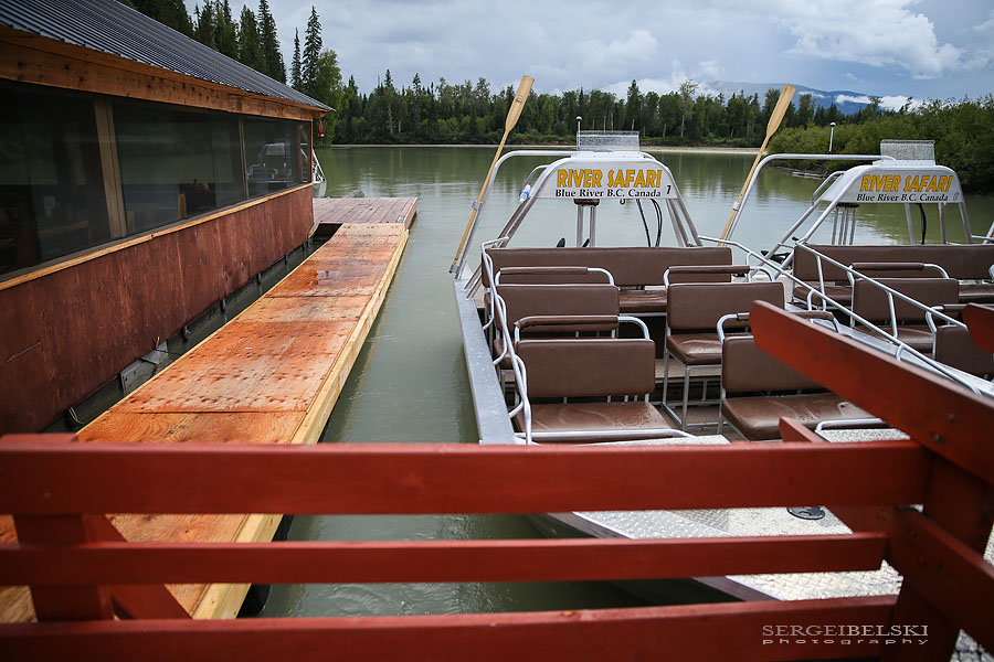 my vespa adventures photo