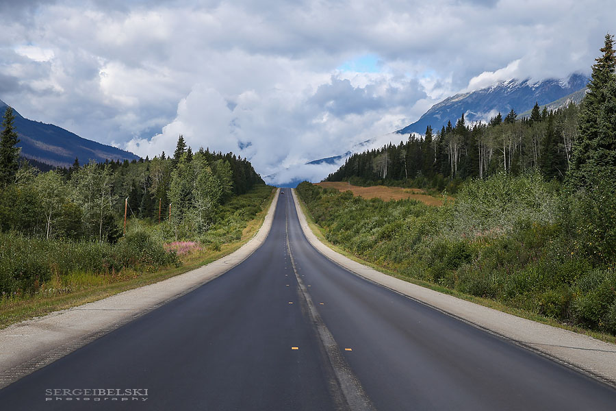 my vespa adventures photo