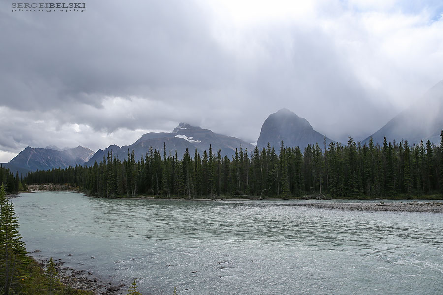 my vespa adventures photo