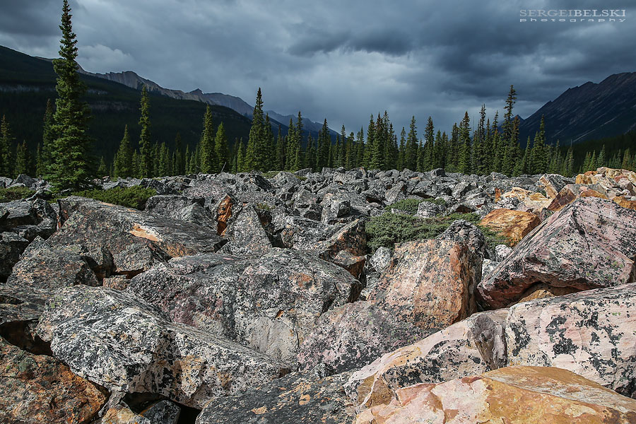 my vespa adventures photo