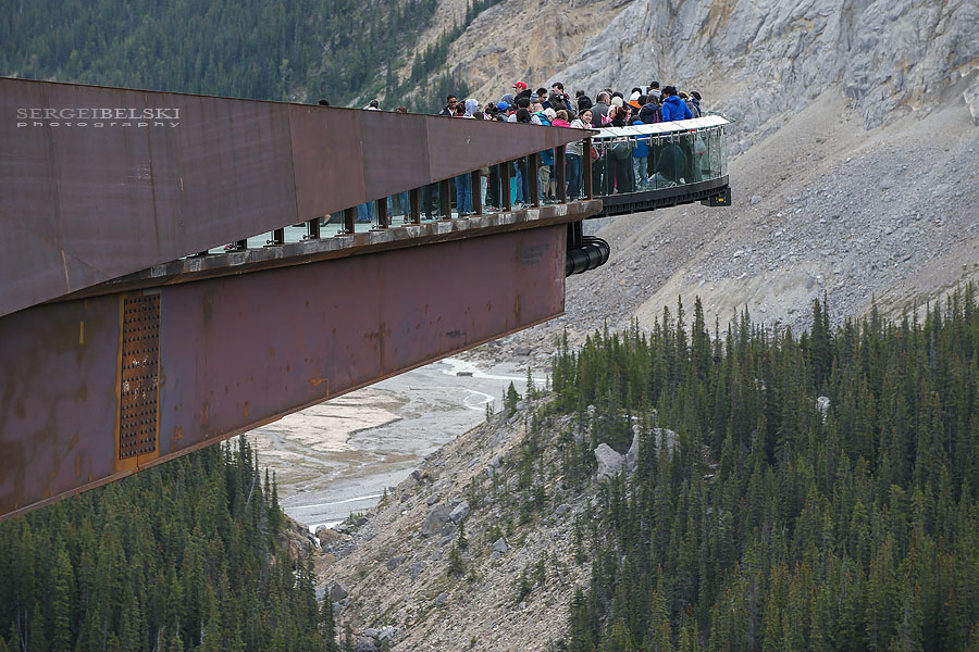 my vespa adventures photo