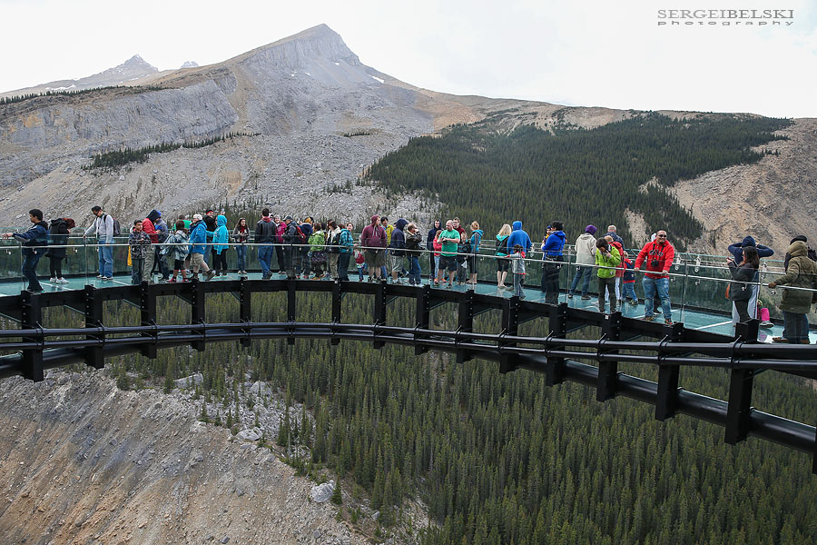 my vespa adventures photo