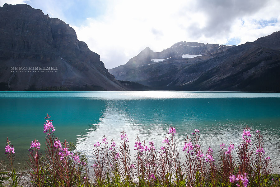 my vespa adventures photo