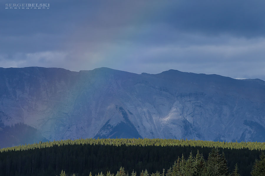 my vespa adventures photo