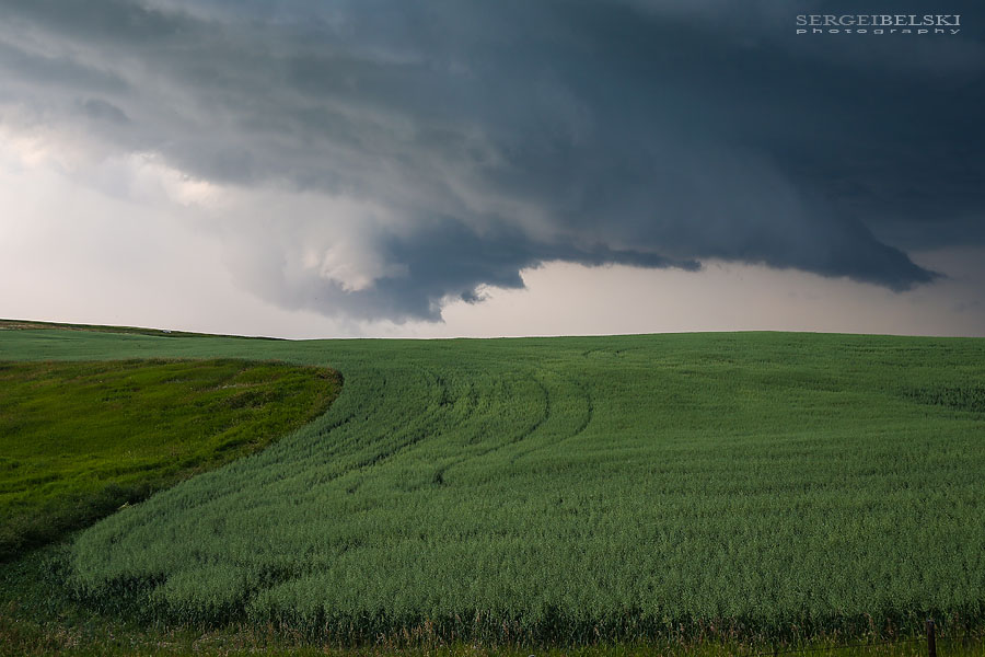my vespa adventures photo