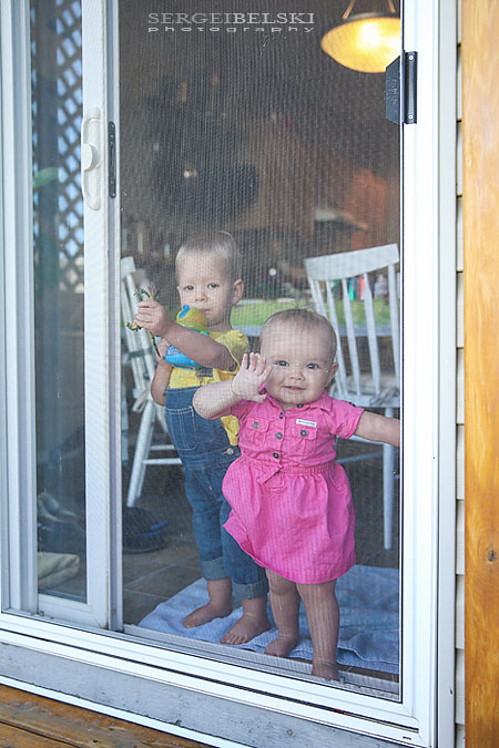 strawberries with oliver sergei belski photo