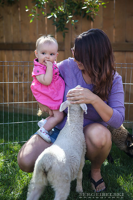 strawberries with oliver sergei belski photo