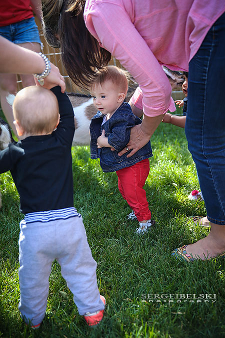 strawberries with oliver sergei belski photo