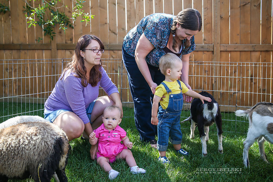 strawberries with oliver sergei belski photo