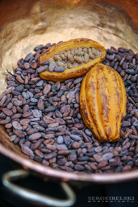 calgary zoo event photographer sergei belski photo