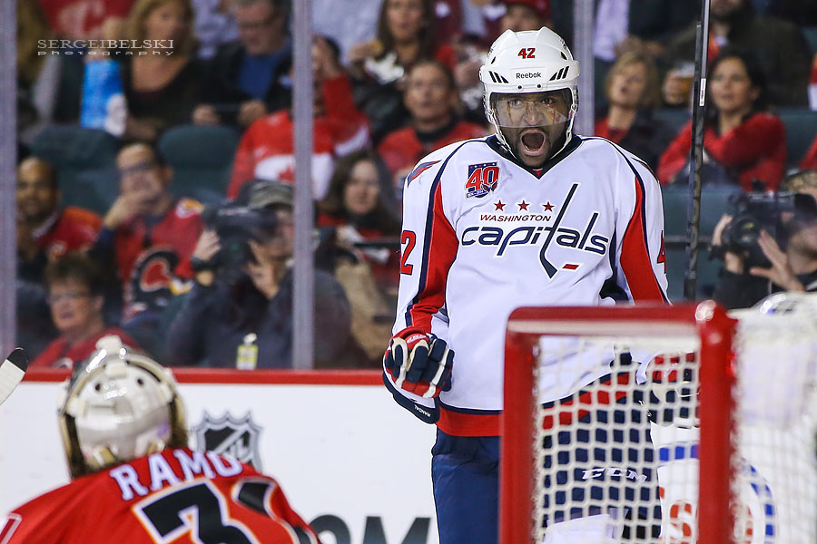 nhl hockey sergei belski photo