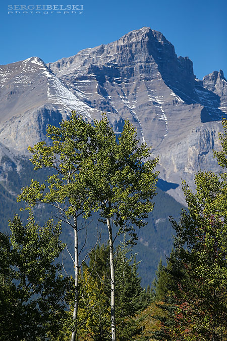 stmu golf tournament canmore silvertip sergei belski photo