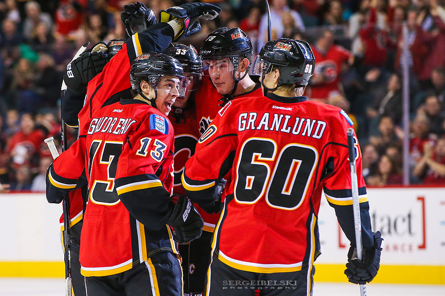 nhl hockey sergei belski photo