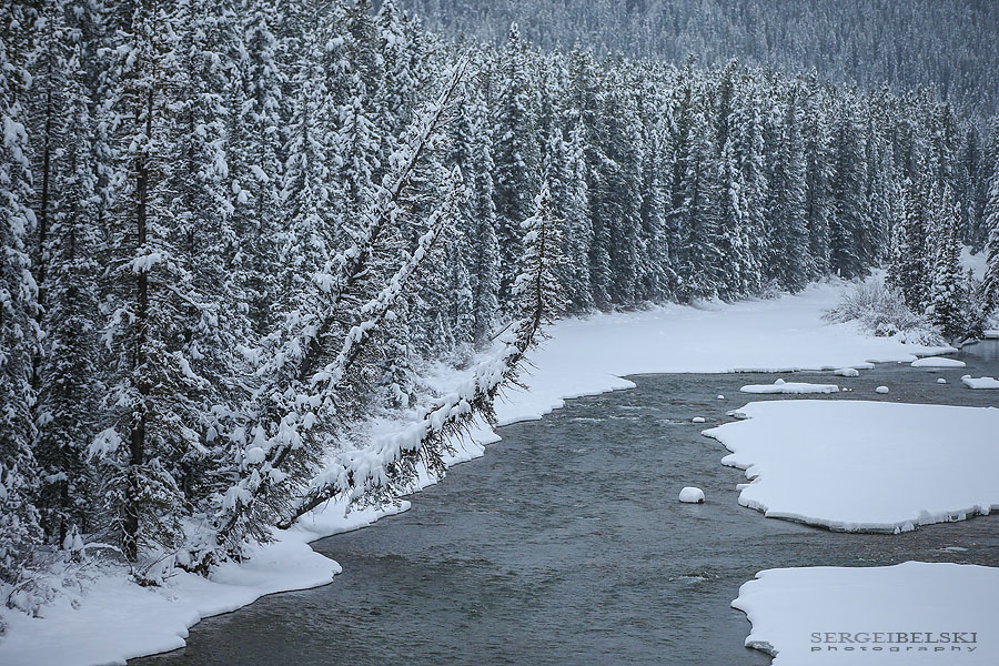 fiat adventures sergei belski photo