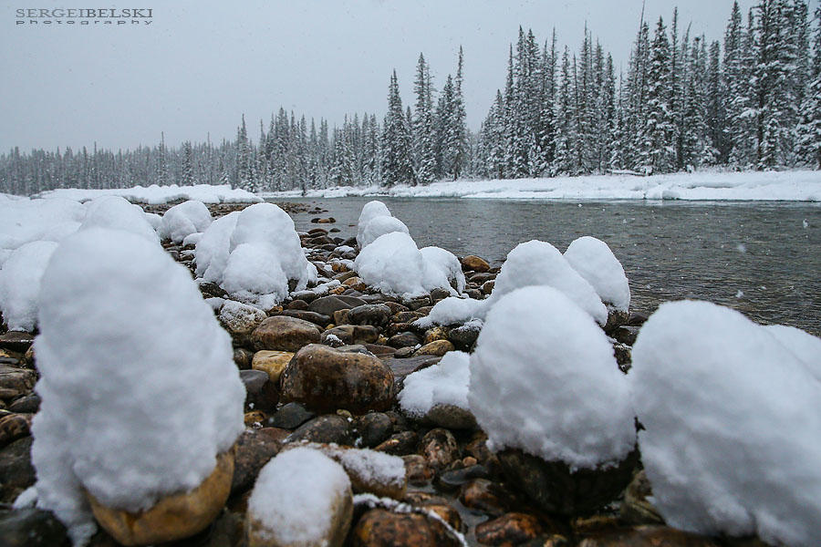fiat adventures sergei belski photo