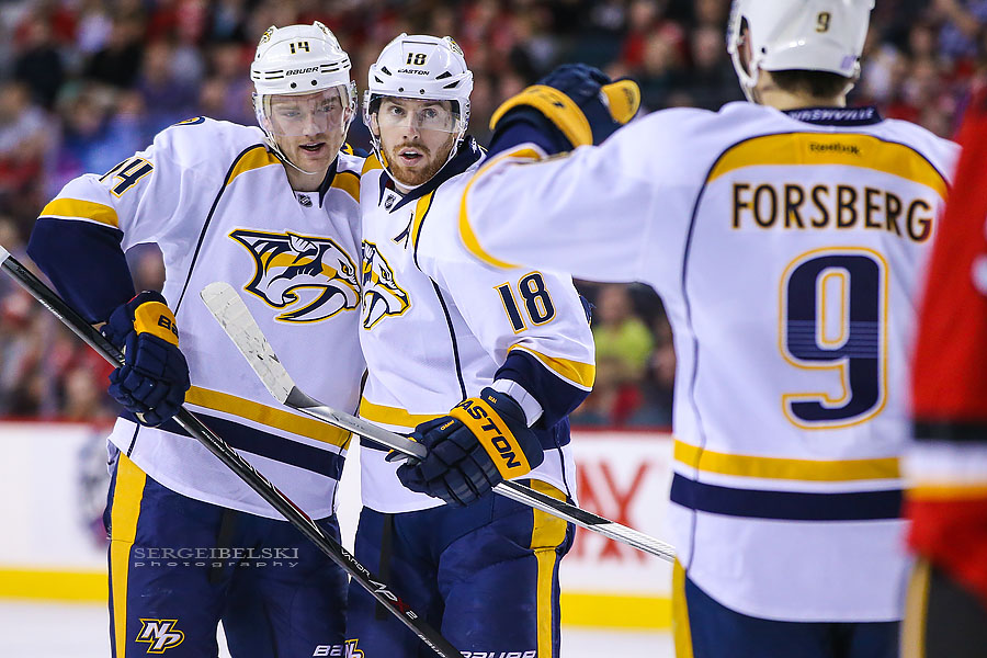 nhl hockey sergei belski photo