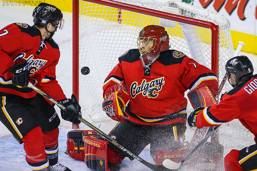 nhl hockey sergei belski photo